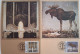 1982..SWEDEN..LOT OF 2 MAXIMUM CARDS..John Bauer - Maximum Cards & Covers