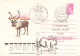 USSR - ENVELOPE 1979 POLAR / ICE BREAKER / 6026 - 1970-79