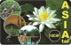 Switzerland: Prepaid Lycatel - Lotus Flower - Svizzera