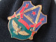 CHINE - CHINISE POLICE BADGE POLIZIA DISTINTIVO SPECIAL AGENT SECURETY SERVICE  MILITARY - CINA - Politie En Rijkswacht