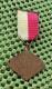 Medaille -   A.W.E .Apeldoorn - Lentetocht .  -  Original Foto  !!  Medallion  Dutch - Sonstige & Ohne Zuordnung