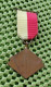 Medaille -   A.W.E .Apeldoorn - Lentetocht .  -  Original Foto  !!  Medallion  Dutch - Autres & Non Classés
