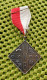 Medaille -   E.W.B - Enschedese Wandelsport Bond..  -  Original Foto  !!  Medallion  Dutch - Altri & Non Classificati