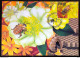 Brazil Maximo Postcard 2015 Honey Bees Postcard CBC RN - Otros & Sin Clasificación