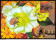 Delcampe - Brazil Maximo Postcard 2015 Honey Bees Postcard CBC RN - Andere & Zonder Classificatie