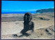 Easter Island Isla De Pascua Small Moai And Sea At The Back Postcard - Rapa Nui