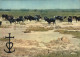 72547943 Stiere Toros En Camargue   - Taureaux