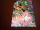 WILDC A.T.S  N° 1  1996   /   EDITION  USA - Collections