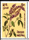 MEDICINAL PLANTS- OCIMUM SANCTUM L. - TULASI- ERROR- BLOCK OF 4- NEPAL- MNH-IE-191 - Medicinal Plants