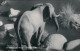 Ansichtskarte Südwest-Afrika Namibia Elefant Am Wasser 1970 - Namibië