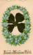 Bonne & Heureuse Fête  Myosotis Et Trèfle à 4 Feuilles. Carte En Relief. - Fête Des Mères