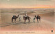 ALGERIE - Scènes Et Types - Dunes De Sable Dans Le Désert - Trois Chameaux Et Trois Nomades - Carte Postale Ancienne - Escenas & Tipos