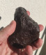 - METEORITE - SUPERBE CHONDRITE ORDINAIRE - POIDS 310 G - CROUTE DE FUSION 100% - Meteorites