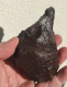 - METEORITE - SUPERBE CHONDRITE ORDINAIRE - POIDS 310 G - CROUTE DE FUSION 100% - Meteoritos