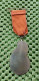 Medaille -   Koningin Juliana Wandeltocht Te Velp.   -  Original Foto  !!  Medallion  Dutch - Adel