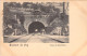 BELGIQUE - Souvenir De Huy - Tunnel De Huy Tilleul - Nels - Animé - Chemin De Fer - Carte Postale Ancienne - Hoei