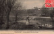 Métiers - Neuvy Sautour - Une Gardeuse D'oies à La Vallée - Chien - Edit Barthelemy -  Carte Postale Ancienne - Farmers