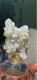 Halite Cristalli Di Sale Naturale 45gr Marocco - Minéraux
