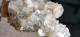 Delcampe - Halite Cristalli Di Sale Naturale 45gr Marocco - Mineralien