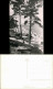 Ansichtskarte Lubmin Strand 1957 - Lubmin
