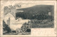 Ansichtskarte Geyer 2 Bild: Walters Höhe - Restaurant 1906  - Geyer