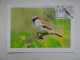 CARTE MAXIMUM CARD 4 CM BLOC DES OISEAUX: MESANGE BLEUE, ROUGE-GORGE, MOINEAU Et PIE BAVARDE OPJ PARIS FRANCE - Sparrows