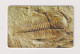 CZECH REPUBLIC - Fossil Chip Phonecard - Tchéquie