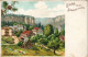 Bad Schweizermühle-Rosenthal-Bielatal Schweizermühle - Litho 1900 - Rosenthal-Bielatal