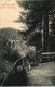 Ansichtskarte Frankenberg (Sachsen) Im Lützeltale - Wald, Viadukt 1911 - Frankenberg