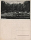 Ansichtskarte Taucha Rosarium 1940 - Taucha