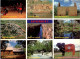Delcampe - 20-2-2024 (4 X 41) Australia - NT - Katherine Gorge (3 Postcards) - Darwin