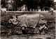 20-2-2024 (4 X 43) Genoline - Black & White (posted In 1956) NO NUMBER !? - Asian ? Rhinoceros - Rhinocéros