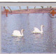 Macedonia 1994, Bird, Birds, Swan, Mushroom, Anti-cancer Week, Set Of 4v, MNH** - Zwanen