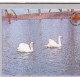 Macedonia 1994, Bird, Birds, Swan, Mushroom, Anti-cancer Week, M/S Of 4v (Imperf), MNH** - Zwanen