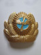 Insigne Neuf De Casquette De Pilote Civil Ukrainien Vers 1996/Ukrainian Civilian Pilot Cap Badge Around 1996 - Montgolfières