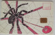 Czech Republic 500 KC City Card - Spider - Czech Republic