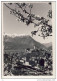 BELLINZONA  -  Panorama  Da  Nord - 1955 - Bellinzone