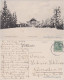 Carolagrün-Auerbach (Vogtland) Im Winter, Von Süden Gesehen 1908  - Auerbach (Vogtland)