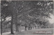 Ansichtskarte Kreischa Alte Eichen Am Eingang Des Ortes 1926  - Kreischa