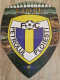 Programme FC Petrolul Ploiesti - Vitesse - 01.08.2013 - UEFA Europa League - Football Soccer Fussball Calcio Programm - Bücher