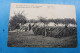Delcampe - Ruiselede Lot X 14 Postkaarten Cpa - Ruiselede