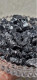 Delcampe - Shungite Elite Naturale 100gr Carelia Russia - Mineralien