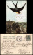 Mittweida HELIOCOLORKARTE Gruss Aus Mittweida "Schwalben-Grusskarte" 1905 - Mittweida