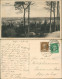 Ansichtskarte Nossen Panorama-Blick Vom Rodigt 1928 Stempel NOSSEN - Nossen