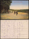 Ansichtskarte Zeithain Truppenübungsplatz, Manöver 1915 - Zeithain