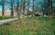 72780010 Cambridge Cambridgeshire Springtime On The Backs Cambridge - Otros & Sin Clasificación