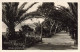 ITALIE - Savona - Alassio - Giardini - Carte Postale Ancienne - Savona