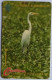 Antigua And Barbuda  EC $10  GPT 104CATC -  Great Egret - Antigua Et Barbuda