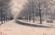 1850	81	Amsterdam, Vondelpark In De Sneeuw (minuscule Vouwen In De Hoeken) - Amsterdam