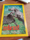 151 // NATIONAL GEOGRAPHIC 2003 / ZEBRAS - Géographie